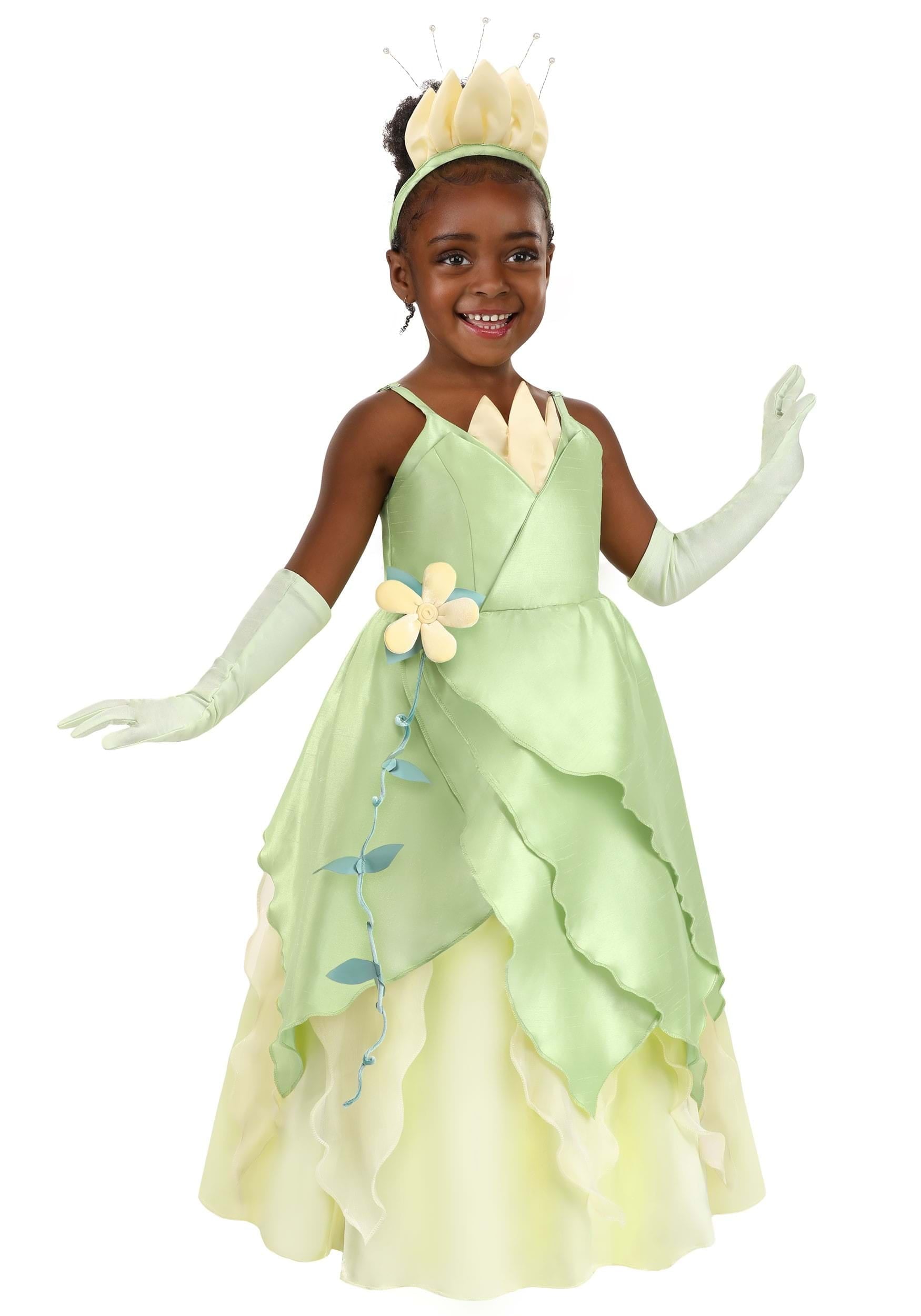 Girl's Toddler Disney Princess and the Frog Tiana Costume