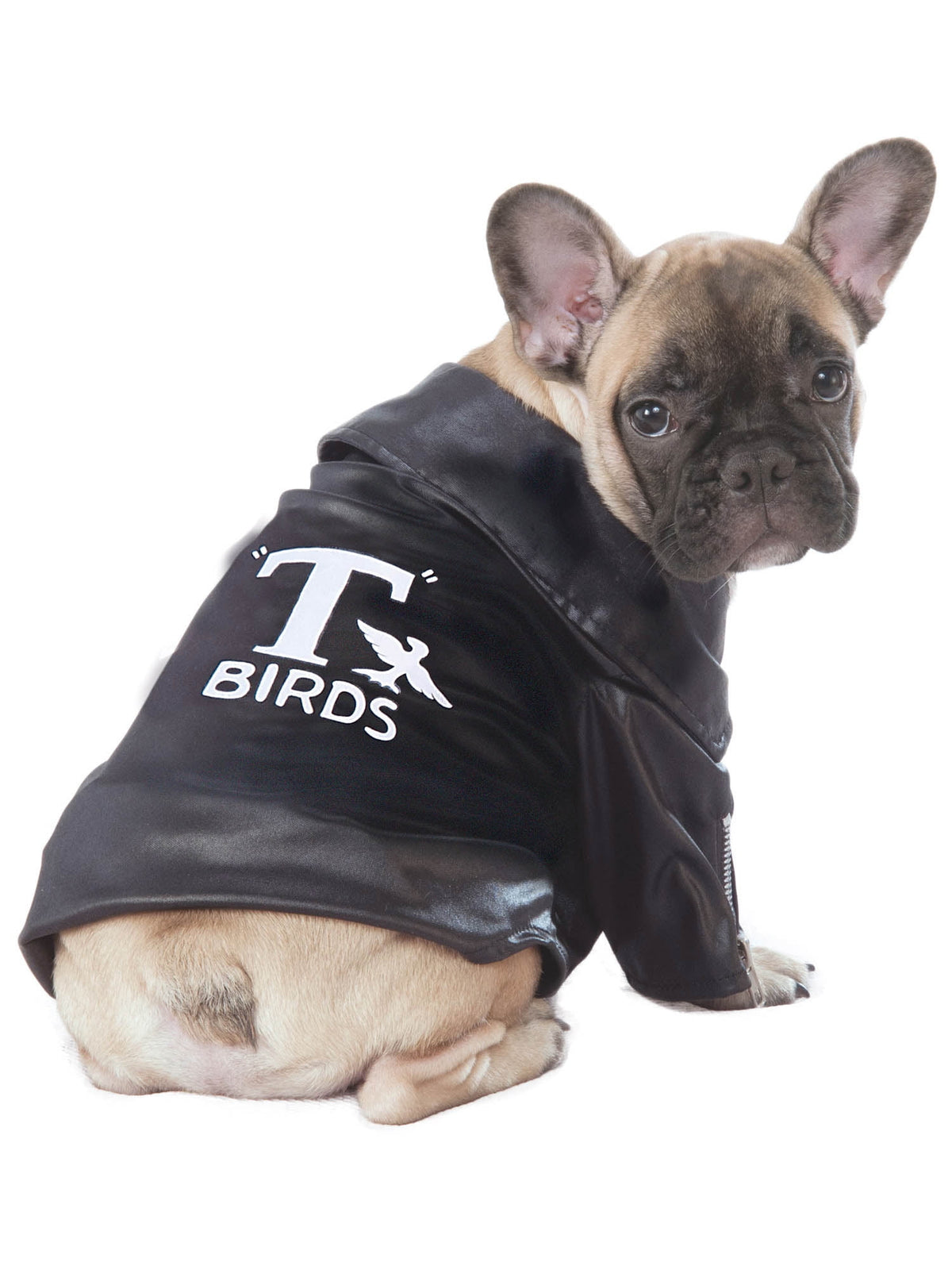 Grease T-Bird Jacket Pet Costume for Dogs or Cats by Rubies, Small