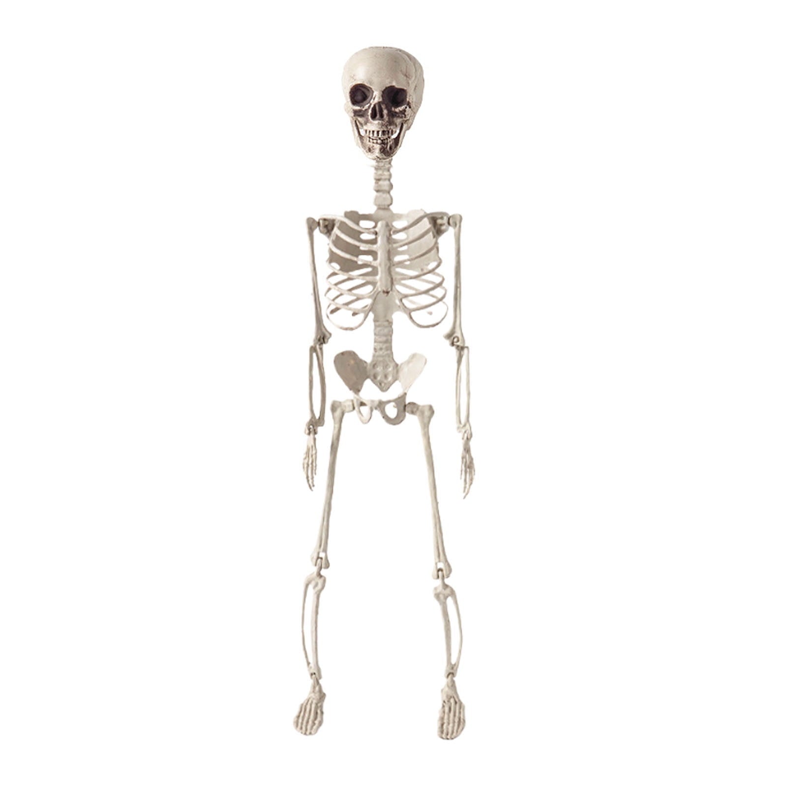 Halloween Skeleton Snake Prop Realistic Scary Serpent Decorative Ornament, Spooky Scene Setup Skeleton Decor Haunted House Party Prop, Home Shop Display Halloween Skeleton Holiday Ornament Gift