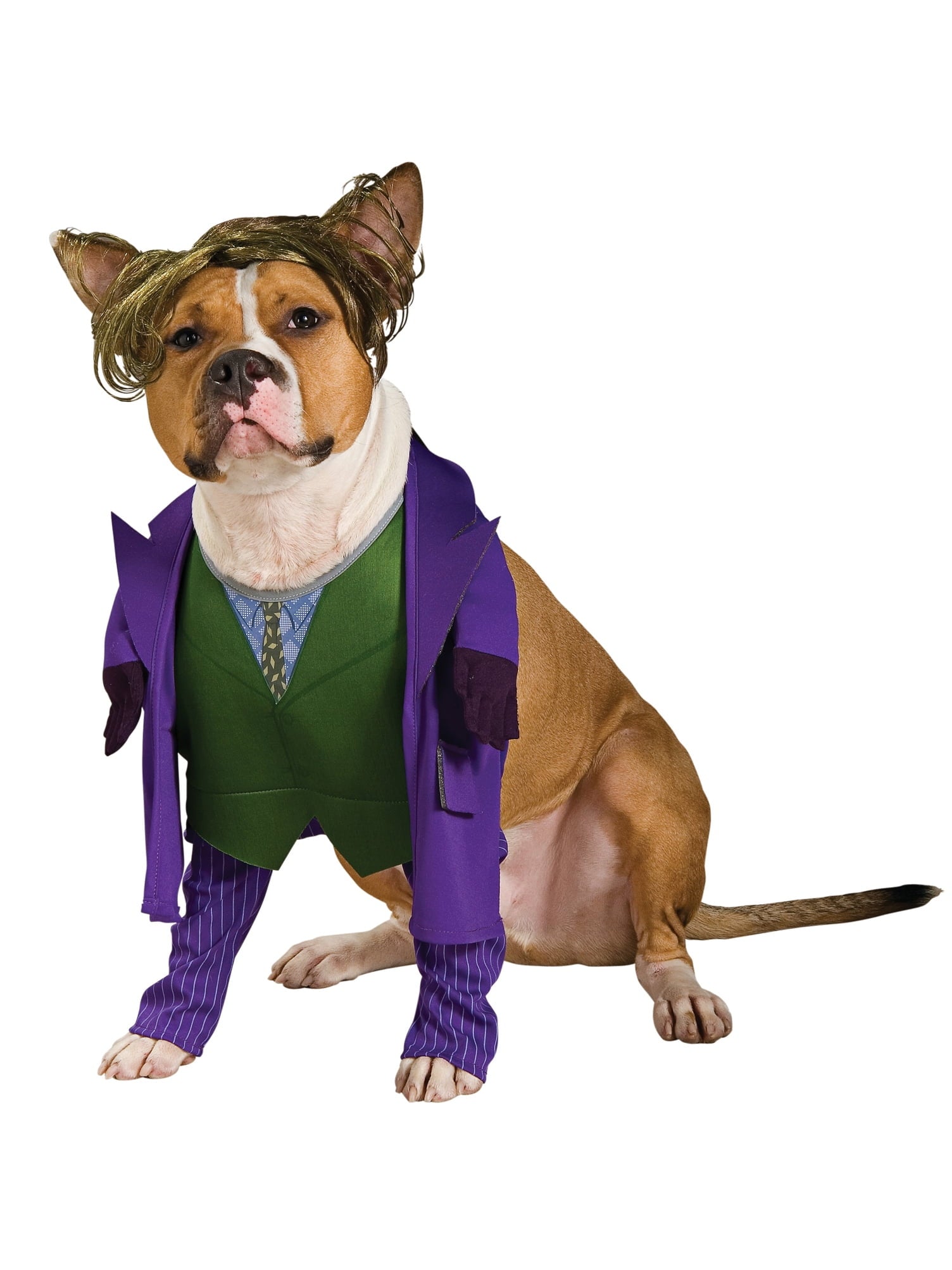 DC Comics The Dark Knight Joker Walking Pet Costume for Dogs or Cats by Rubies, Large