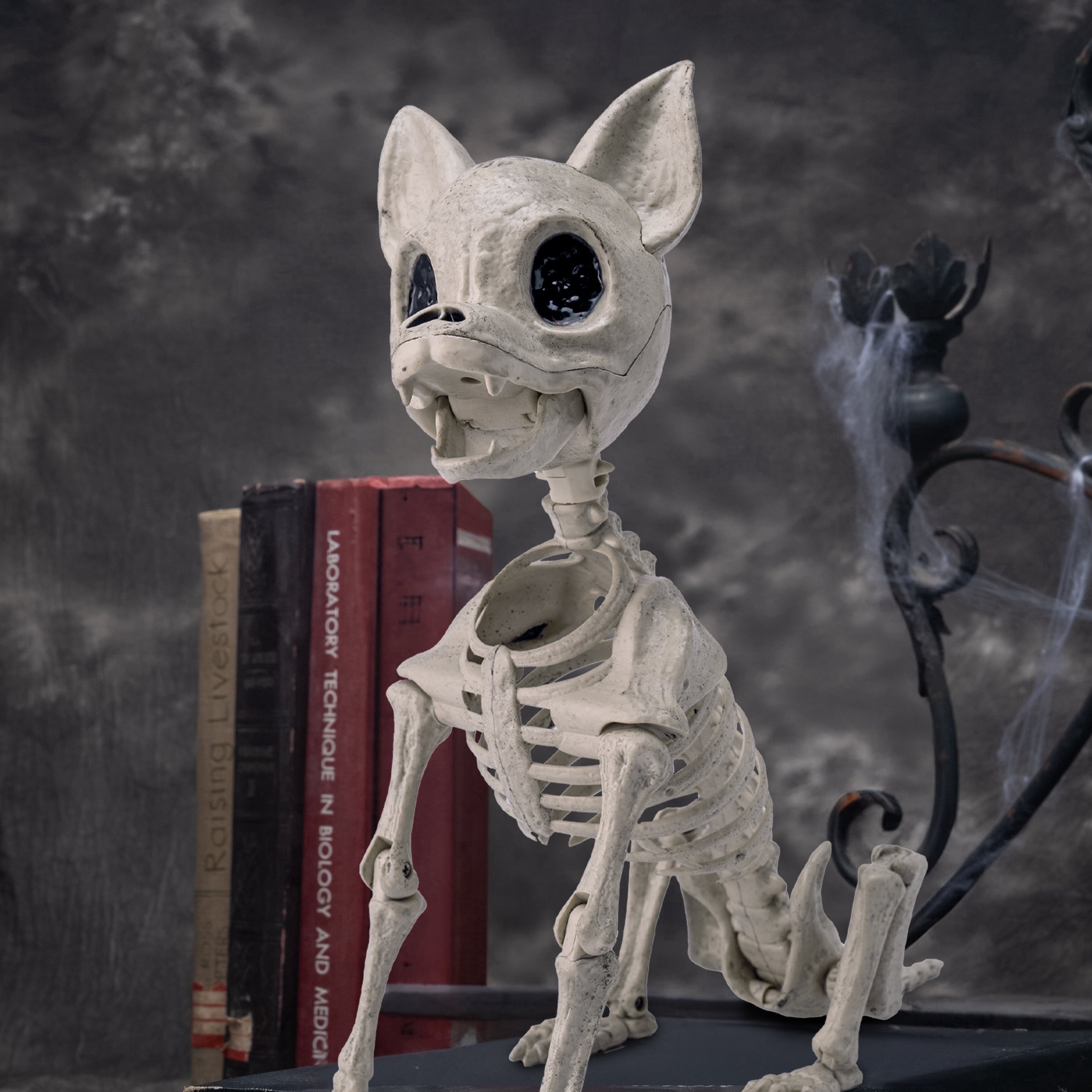 Joyfy 9.8 Inch Halloween Skeleton Dog Skeleton Halloween Decor,Pose-N-Stay Plastic Skeleton Bones with Posable Joints for Hallowmas Decoration Outdoor Haunted House Party