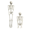 Kitem Skeleton Prop 5.4ft Poseable Life Size Halloween Decoration Plastic Full Body Human Bones Skeleton Party Supplies 1pc