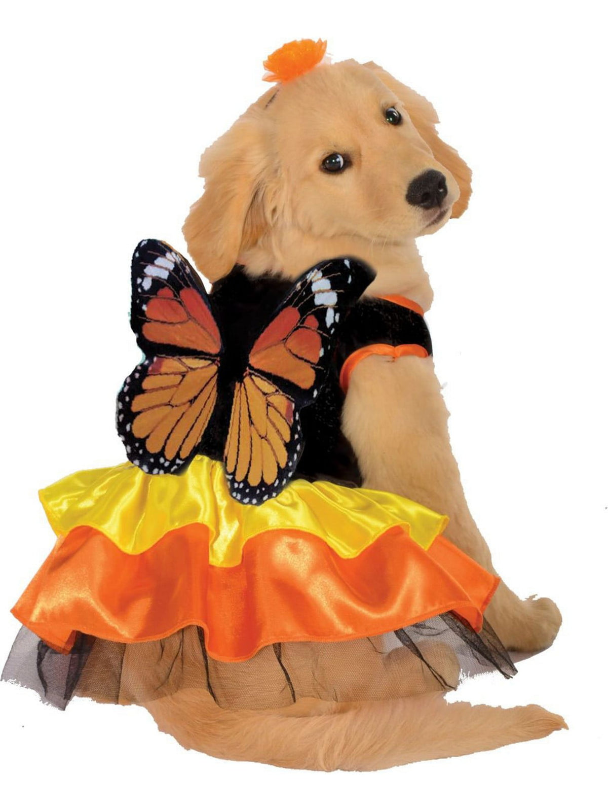 Rubies Monarch Butterfly Pet Costume for Dogs or Cats, XL