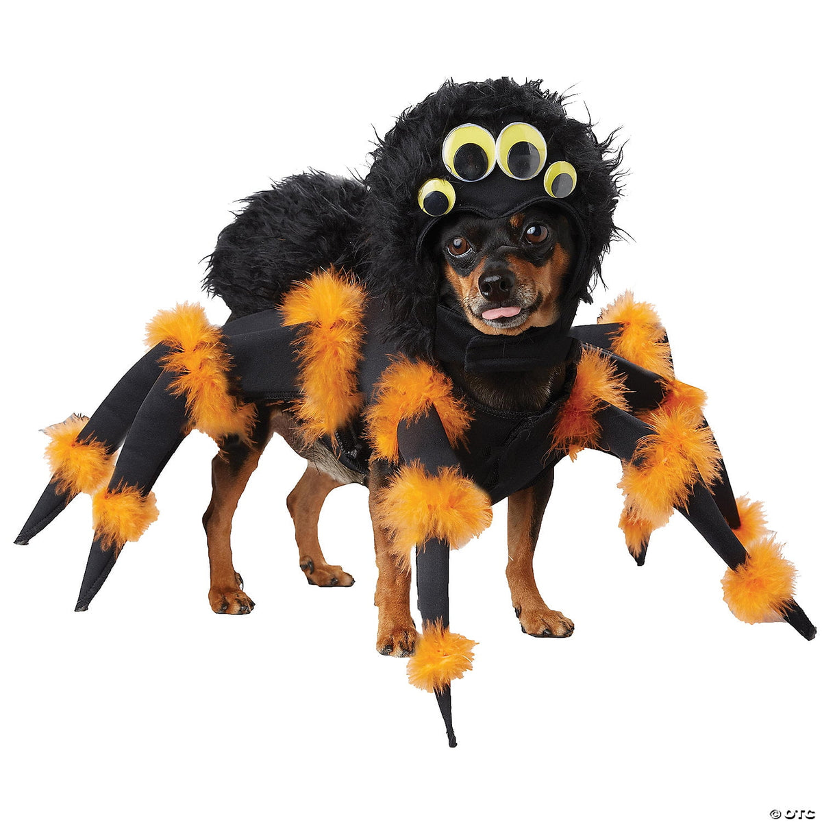 California Costumes Spider Pup Pet Costume Size Medium Unisex