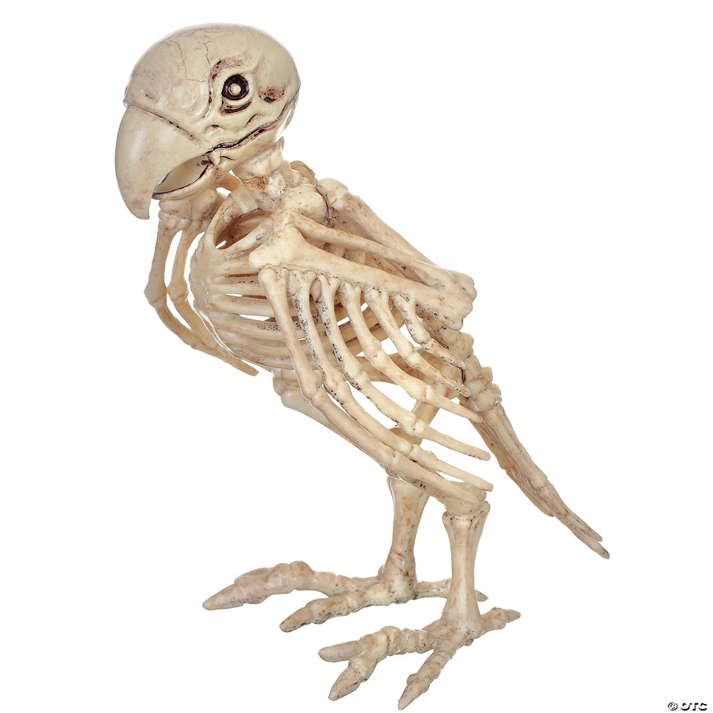 Official Crazybonez Faux Parrot Skeleton