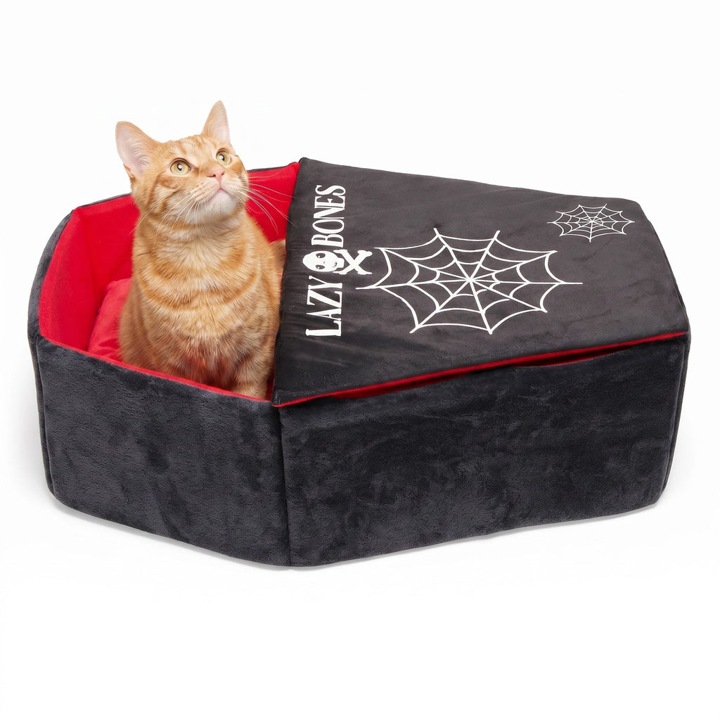 Petco Halloween Coffin Pet Bed, 24" L x 18" W x 7.5" D, Medium