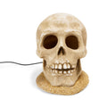 Petco Halloween LED Light-Up Skull Aquarium Decor White Large