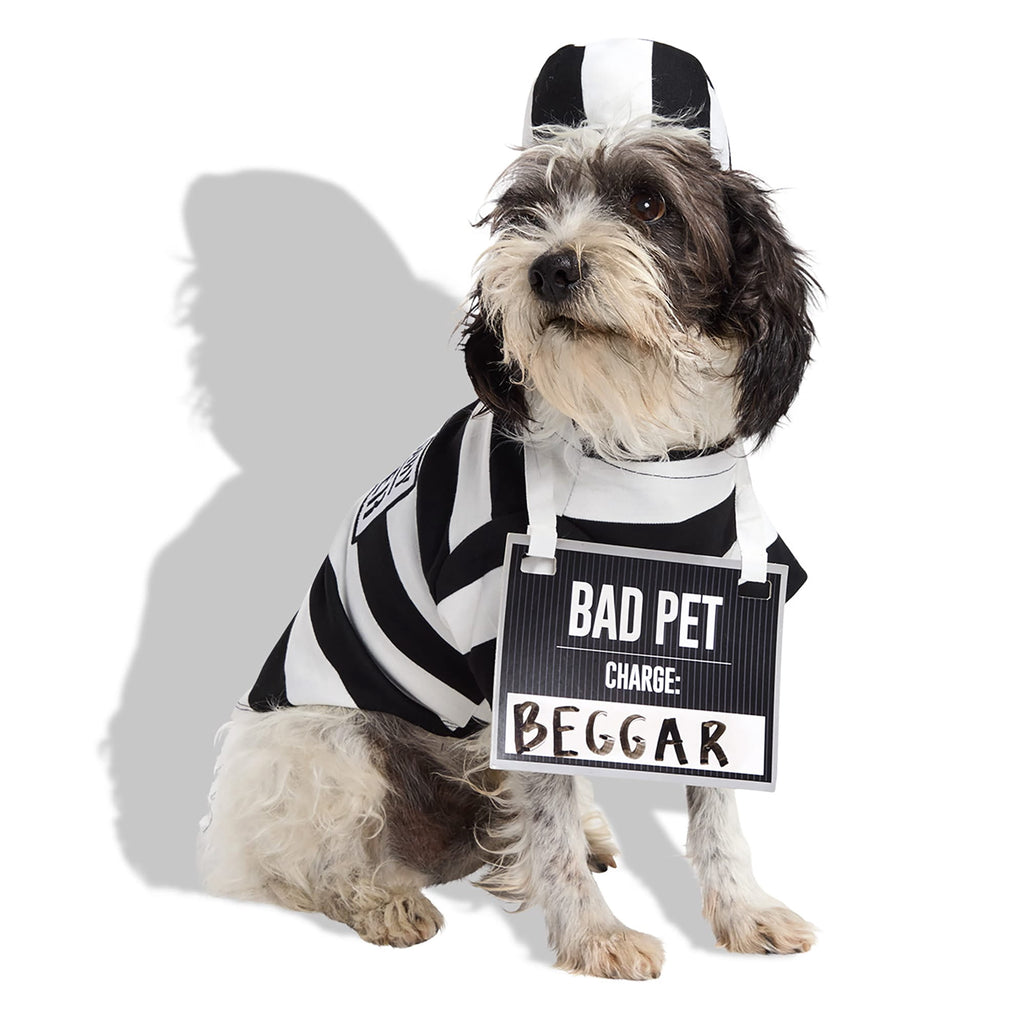 Petco Prisoner Pet Halloween Costume 3X-Large
