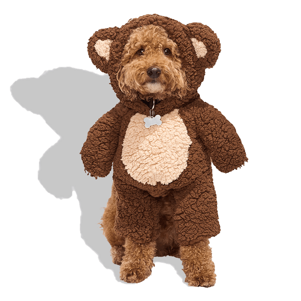 Petco Teddy Bear Illusion Pet Halloween Costume X-Large