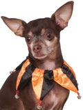 Rubies Pet Shop Boutique Pet Halloween Costume Accessory Orange Jester Collar For Dog or Cat S/M
