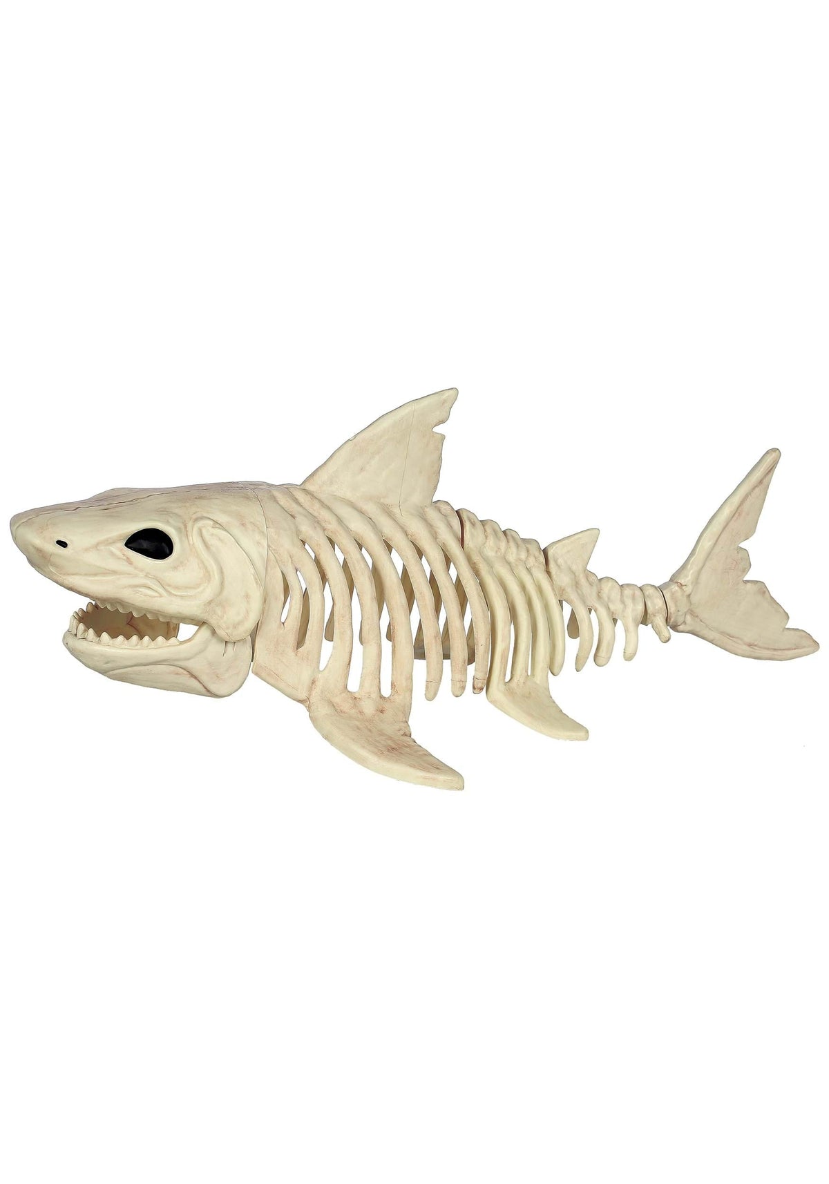 Seasons 2 ft Plastic Shark Skeleton Halloween Tabletop Decoration - Off-White