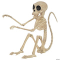 Seasons USA Monkey Skeleton Halloween Decoration - 9.5 in