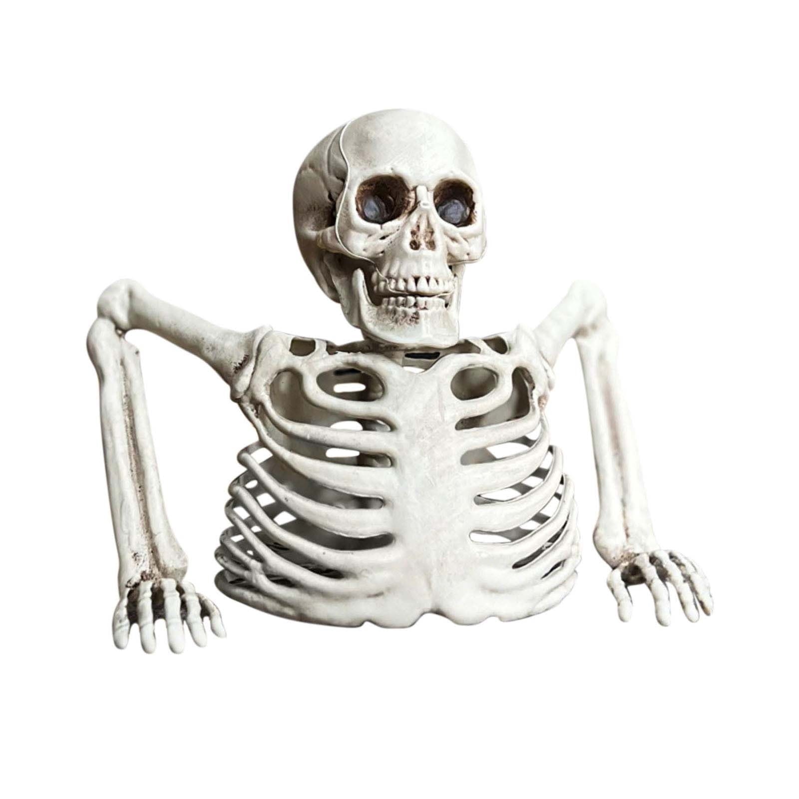 Halloween Skeleton Snake Prop Realistic Scary Serpent Decorative Ornament, Spooky Scene Setup Skeleton Decor Haunted House Party Prop, Home Shop Display Halloween Skeleton Holiday Ornament Gift