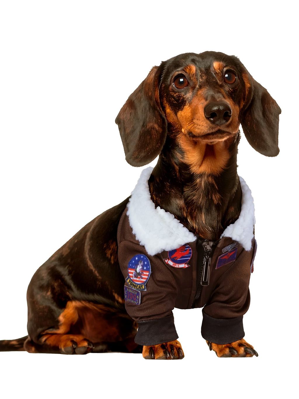 Top Gun Pet Costume for Dogs or Cats by Rubies, XS