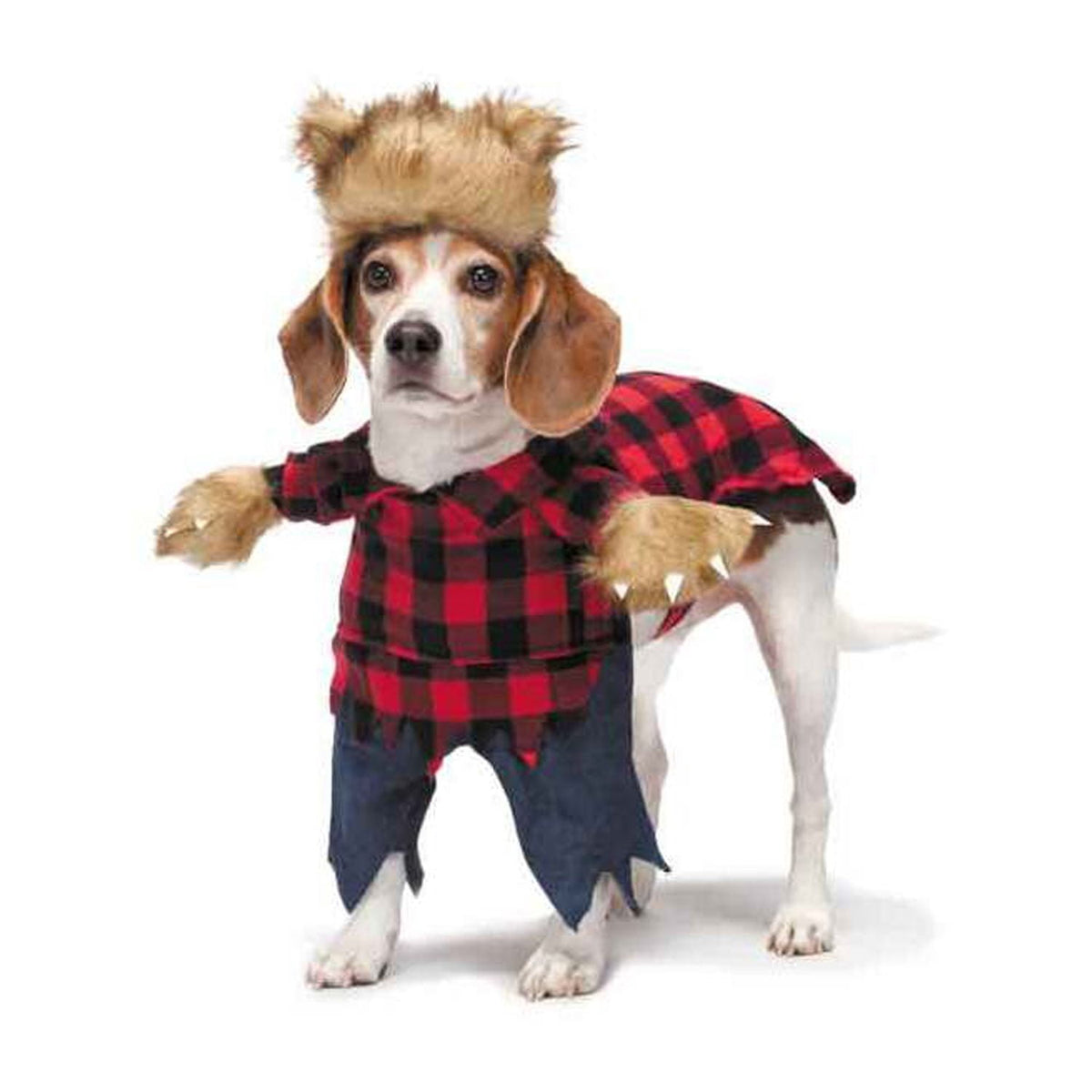 Zack & Zoey Werewolf Costume for Dogs, X-Small