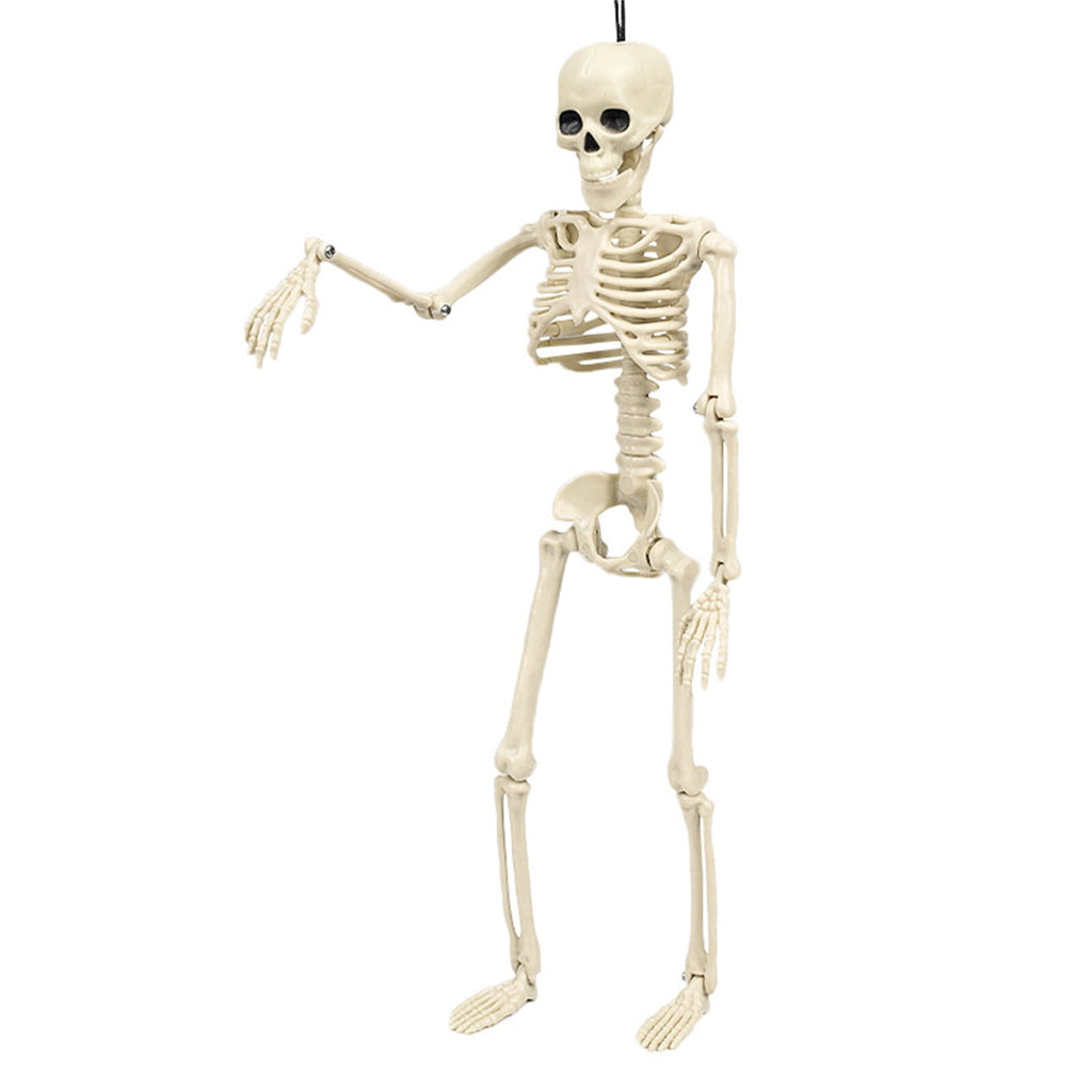 amlbb Halloween Decoration Halloween Skeleton Horror Decorations Simulation Animals Skeleton Ornaments Bar Decoration Frogs Skeleton on Clearance