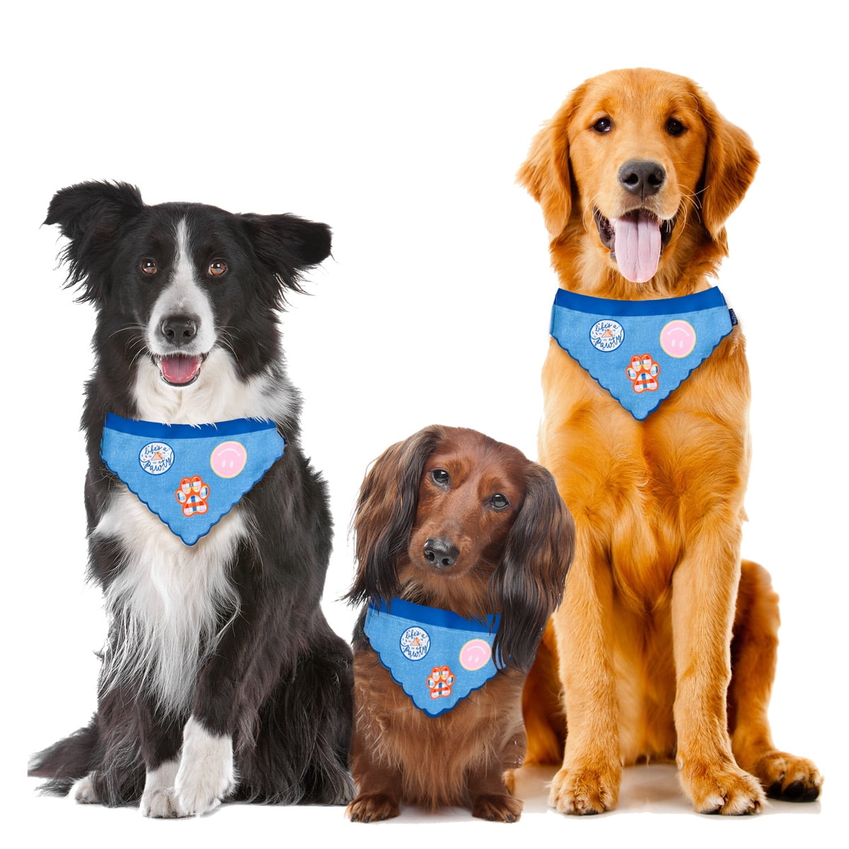 Packed Party Bandana for Dogs, Patches, Extra Small/Small