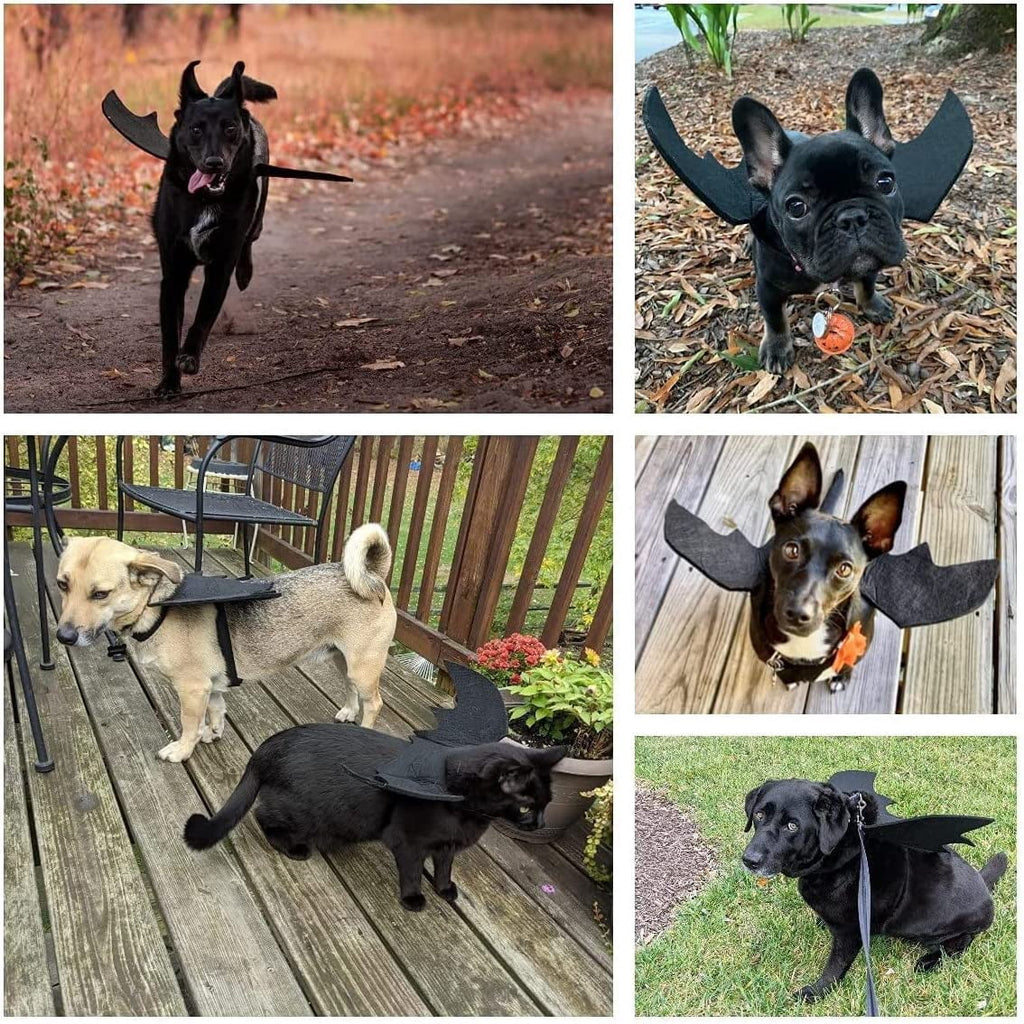 Halloween Dog Bat Wings Pet Costume for Halloween Party Decorations, Cute Puppy Dog and Cat Collar Bat Wings with Pumpkin Bells Cosplay Party (X-Large)