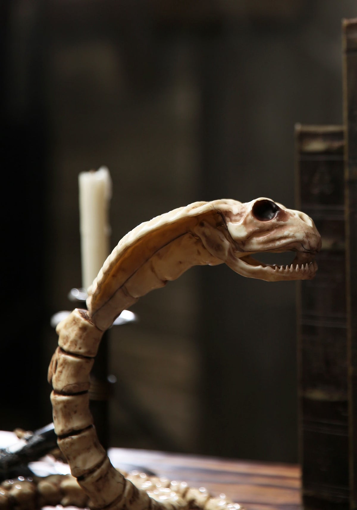 Official Crazybonez Faux Parrot Skeleton