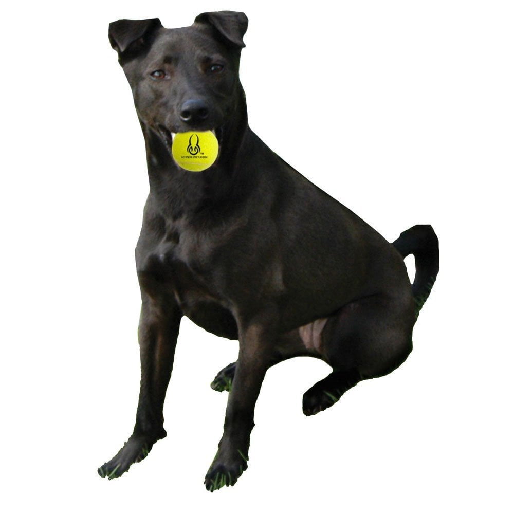 Hyper Pet Tennis Balls Dog Fetch Toys for Small Medium Dogs, Orange, Pack of 4