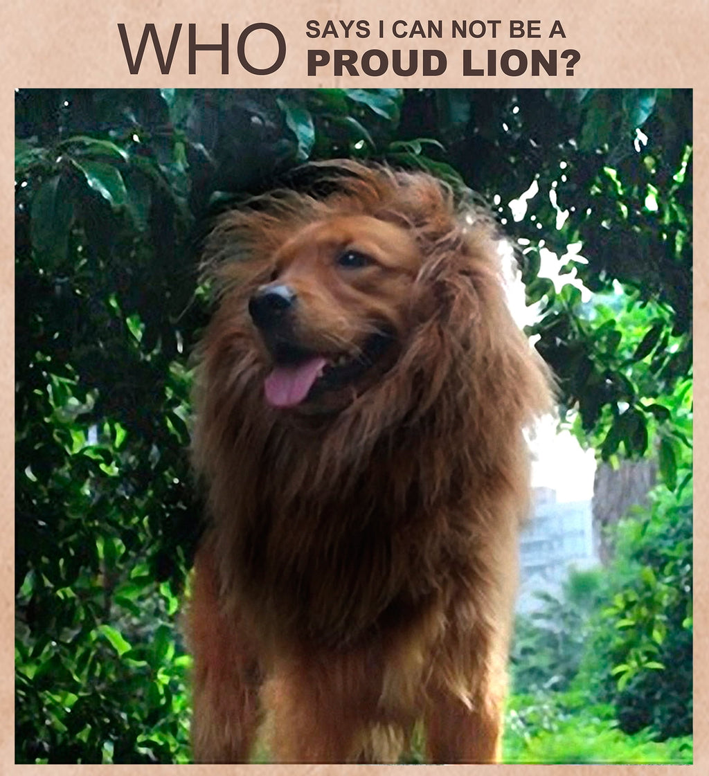 Lion Mane Wig for Dogs, Funny Pet Cat Costumes, Furry Dog Clothing Accessories (Size M,Grey)