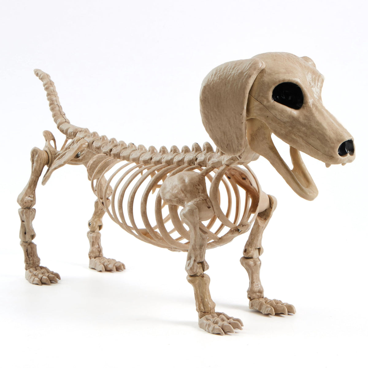 Joyfy 9.8 Inch Halloween Skeleton Dog Skeleton Halloween Decor,Pose-N-Stay Plastic Skeleton Bones with Posable Joints for Hallowmas Decoration Outdoor Haunted House Party