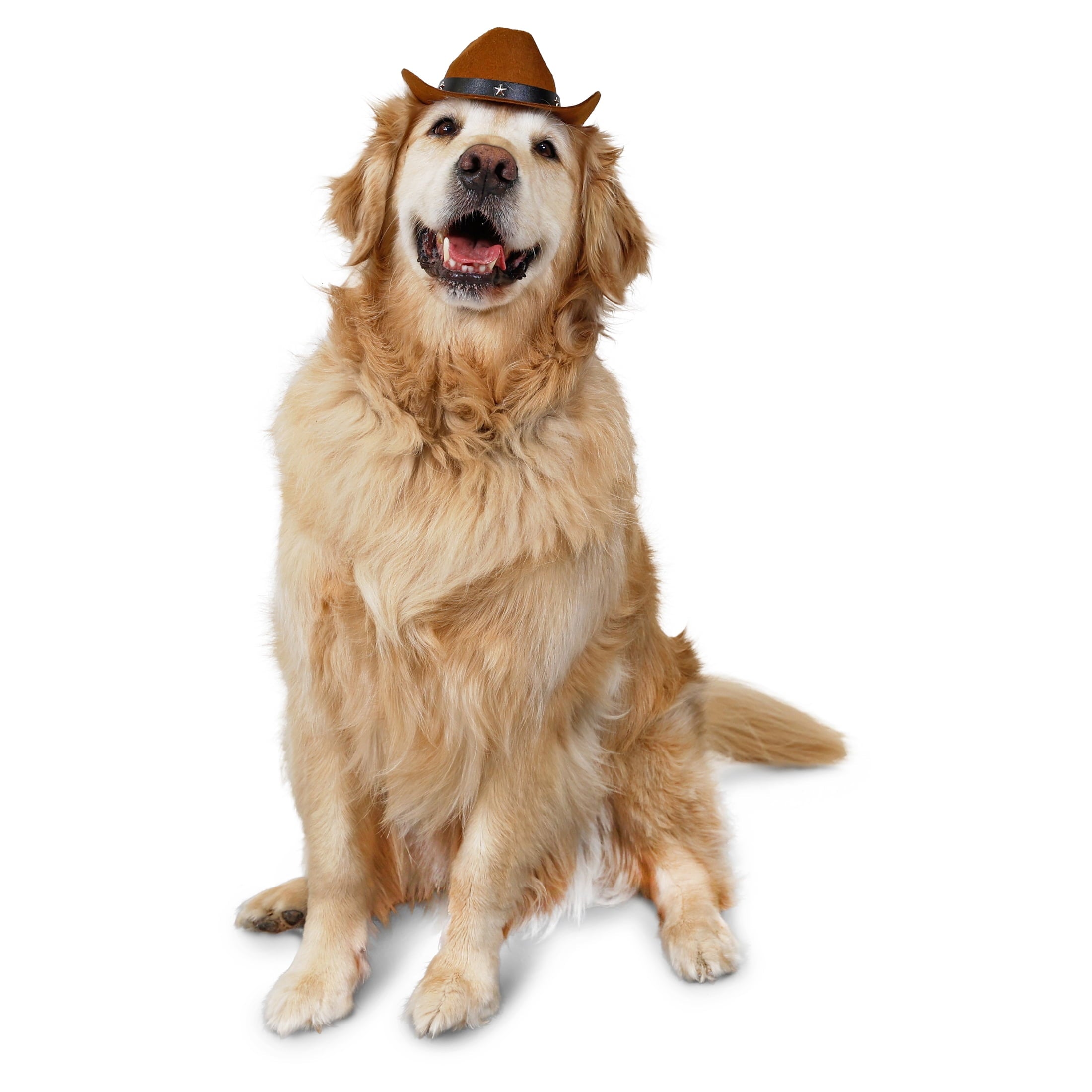 Vibrant Life Halloween Pet Cowboy Hat Costume Accessory for Dogs & Cats, Brown, XS/S