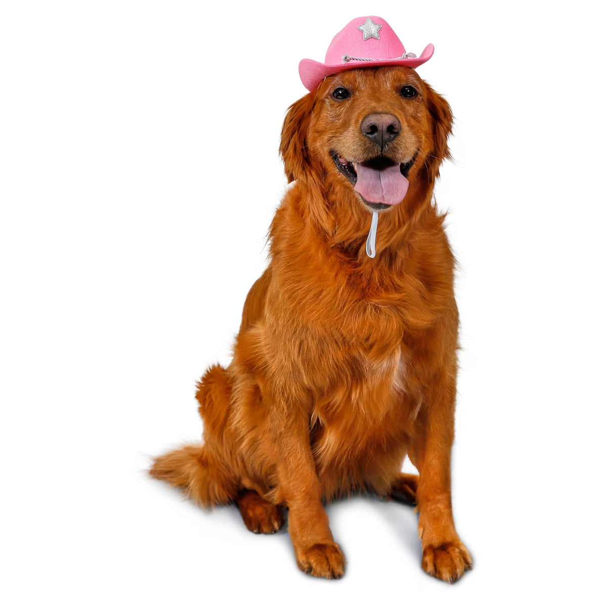 Vibrant Life Halloween Cowboy Hat Costume for Dogs and Cats, Pink, XS/S