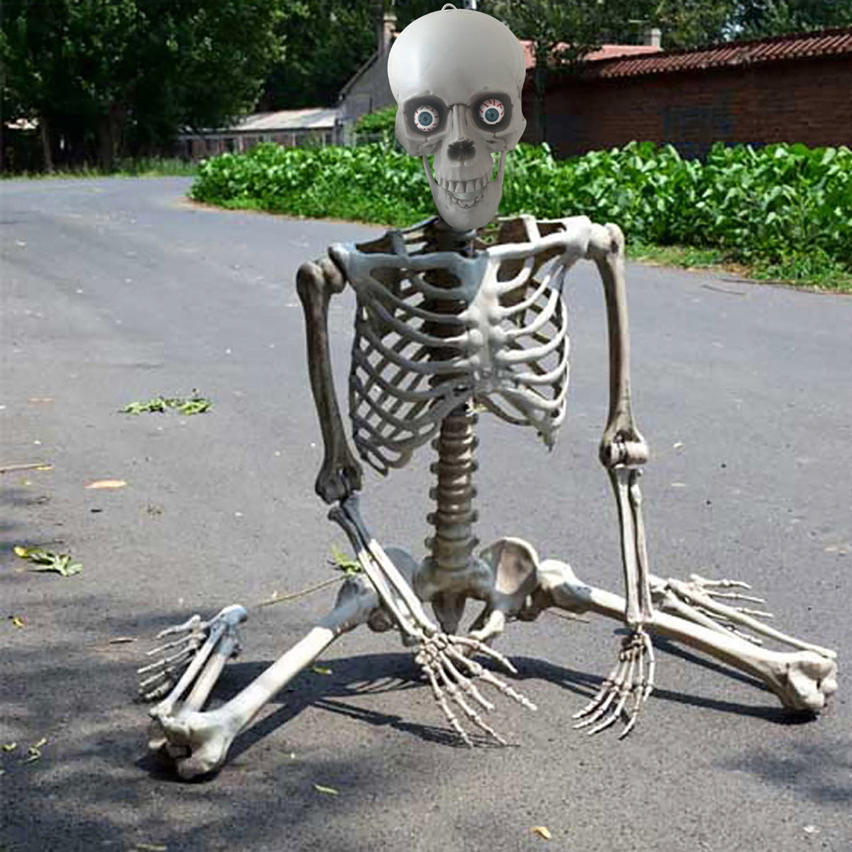 Halloween Skeleton Snake Prop Realistic Scary Serpent Decorative Ornament, Spooky Scene Setup Skeleton Decor Haunted House Party Prop, Home Shop Display Halloween Skeleton Holiday Ornament Gift