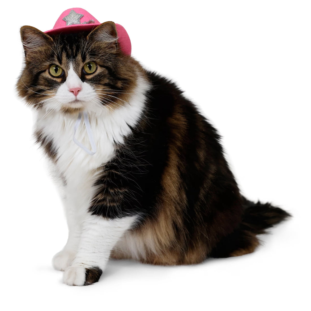 Vibrant Life Halloween Cowboy Hat Costume for Dogs and Cats, Pink, XS/S