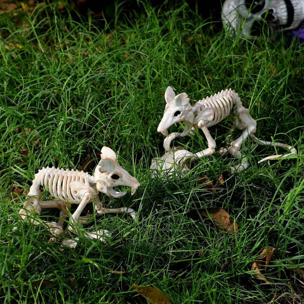 Joyfy 2 Pcs Duck Skeleton Halloween Decoration,4.5 Inch Posable Plastic Animals Halloween Skeleton for Indoor Outdoor Halloween Decorations,Haunted House Party Props