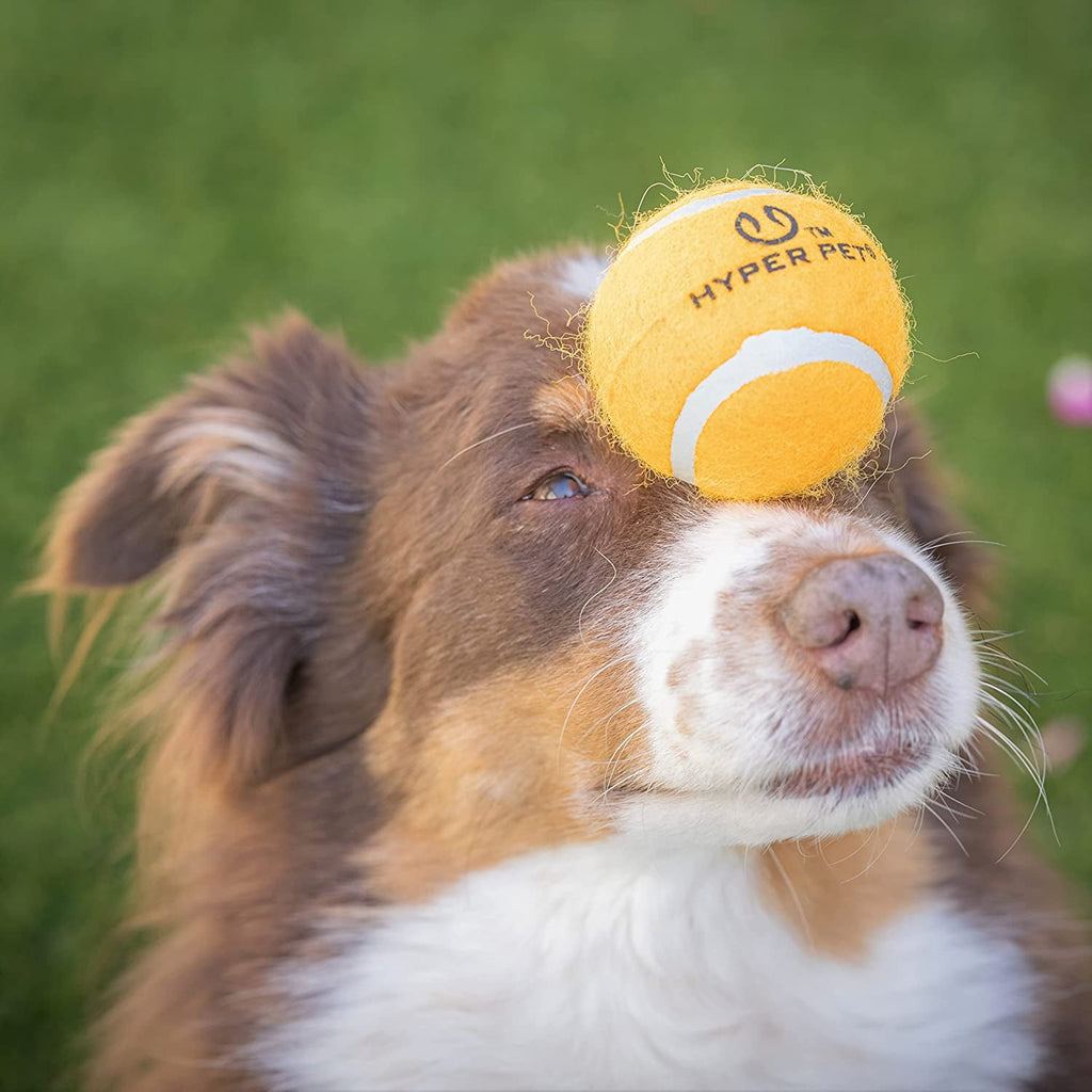 Hyper Pet Tennis Balls Dog Fetch Toys for Small Medium Dogs, Orange, Pack of 4