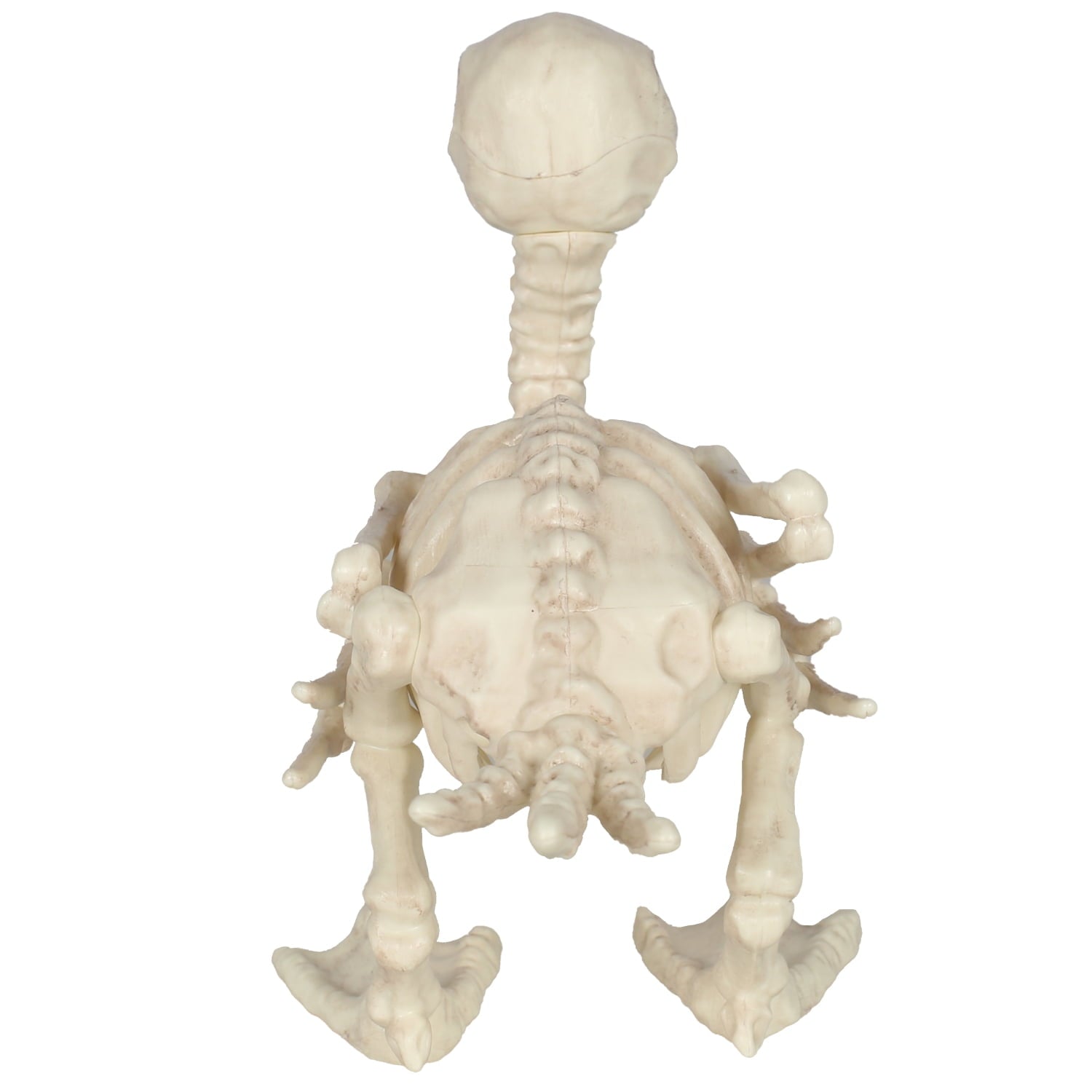 Seasons Skeleton Baby Duck Halloween Decoration for Crazy Bonez Skeleton Line