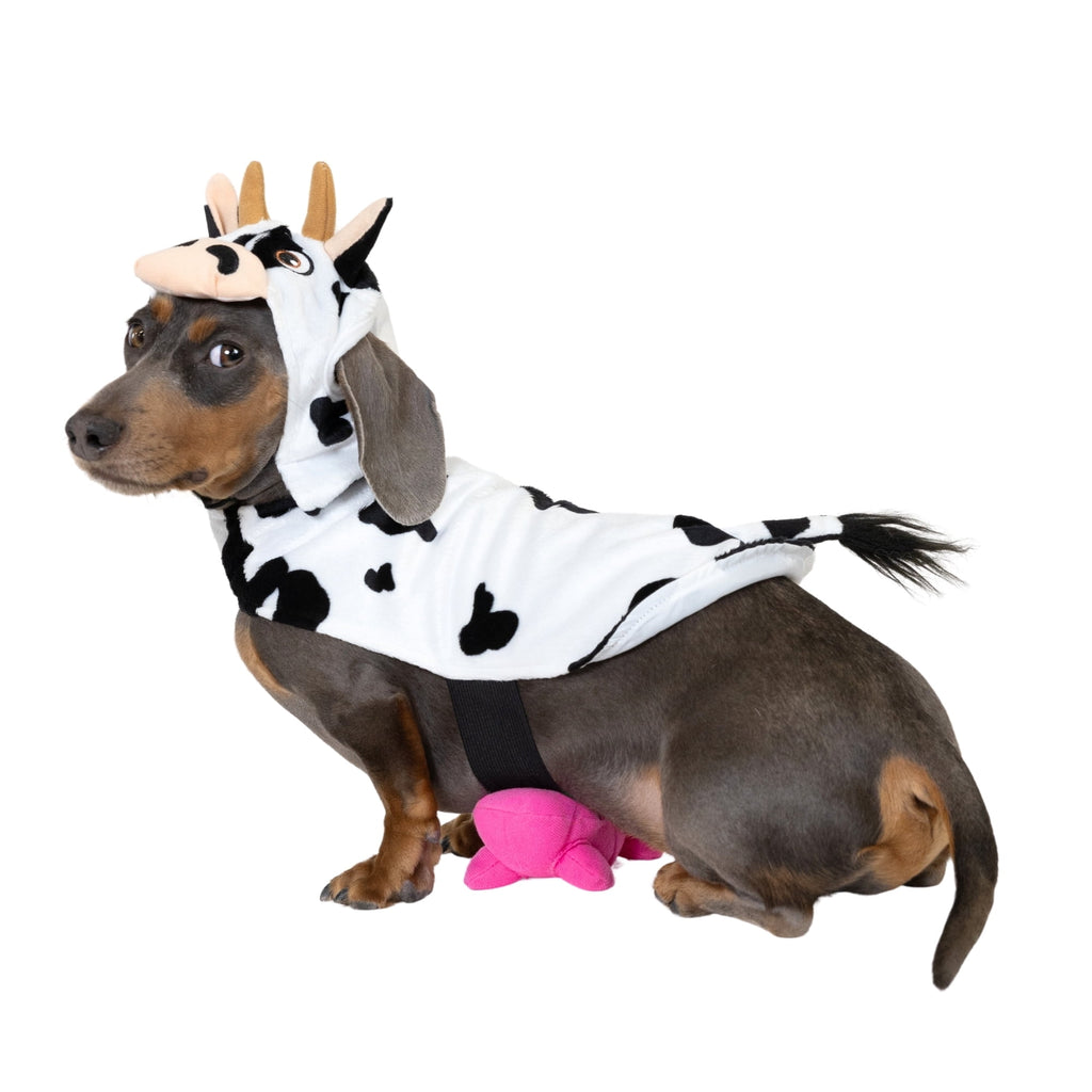 Vibrant Life Halloween Costume for Dogs & Cats, Cow, Black & White, Extra Small