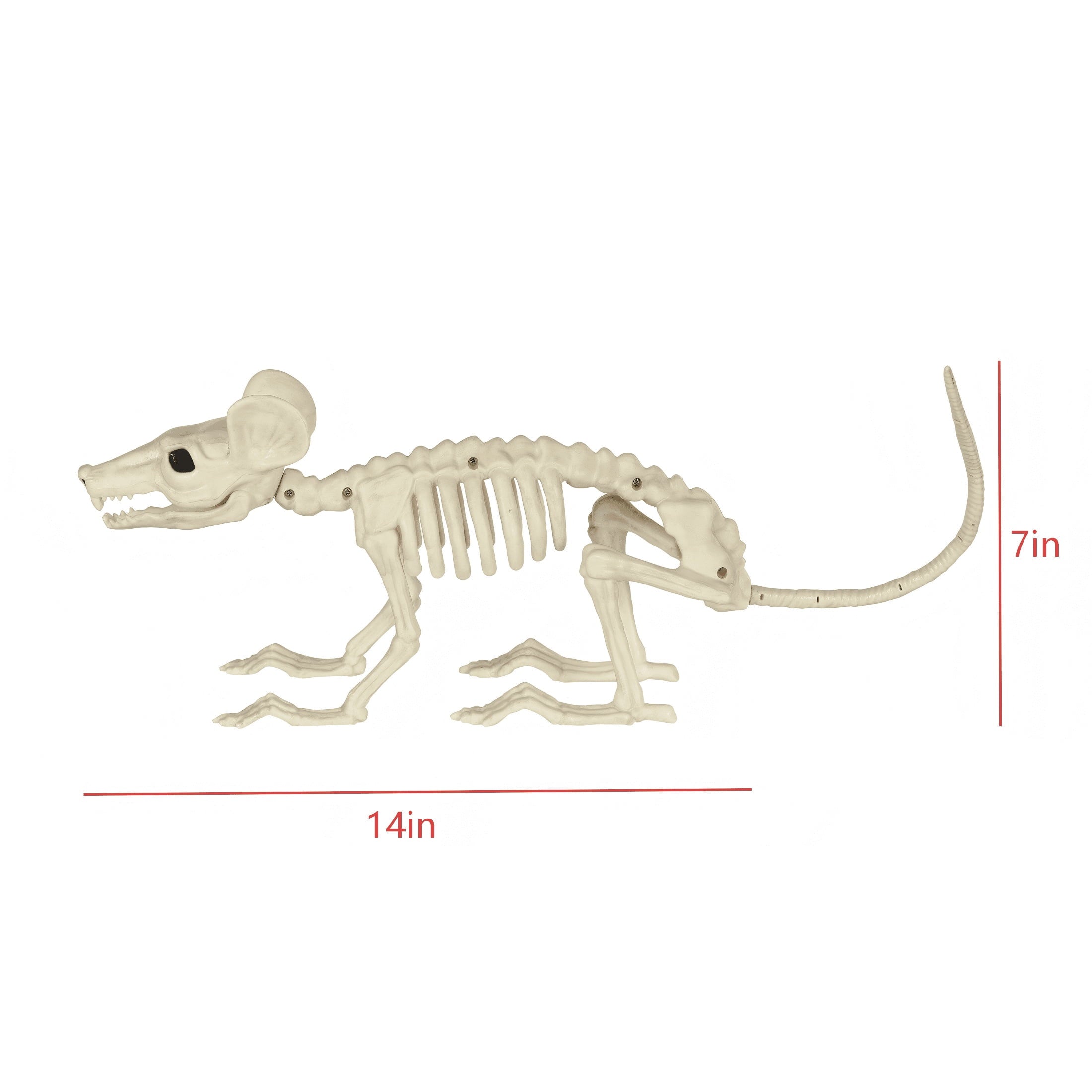 Faux Skeleton Rat Decoration, 7", Halloween by Way To Celebrate