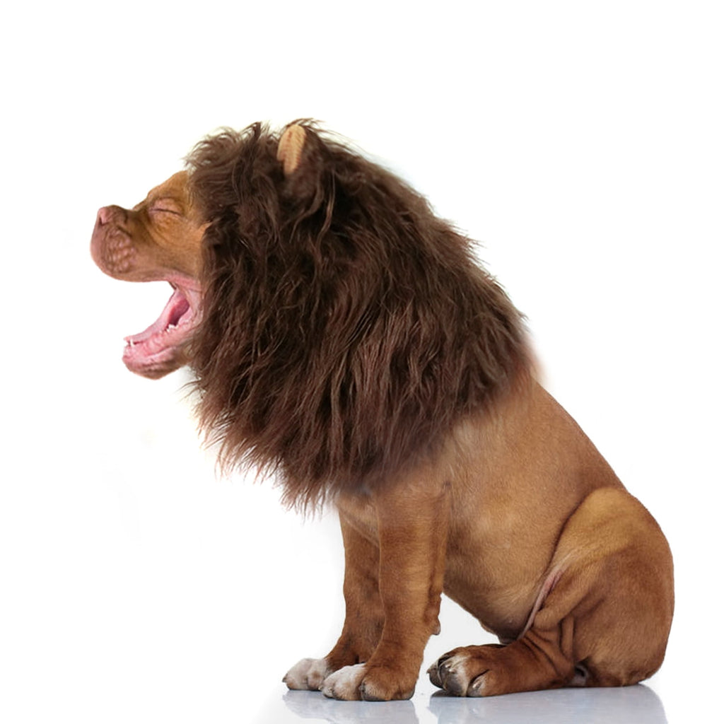 Lion Mane Wig for Dogs, Funny Pet Cat Costumes, Furry Dog Clothing Accessories (Size M,Grey)
