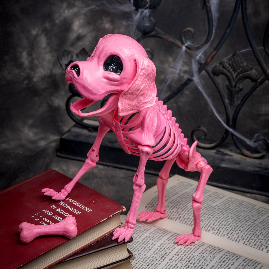 Joyfy 9.8 Inch Halloween Skeleton Dog Skeleton Halloween Decor,Pose-N-Stay Plastic Skeleton Bones with Posable Joints for Hallowmas Decoration Outdoor Haunted House Party