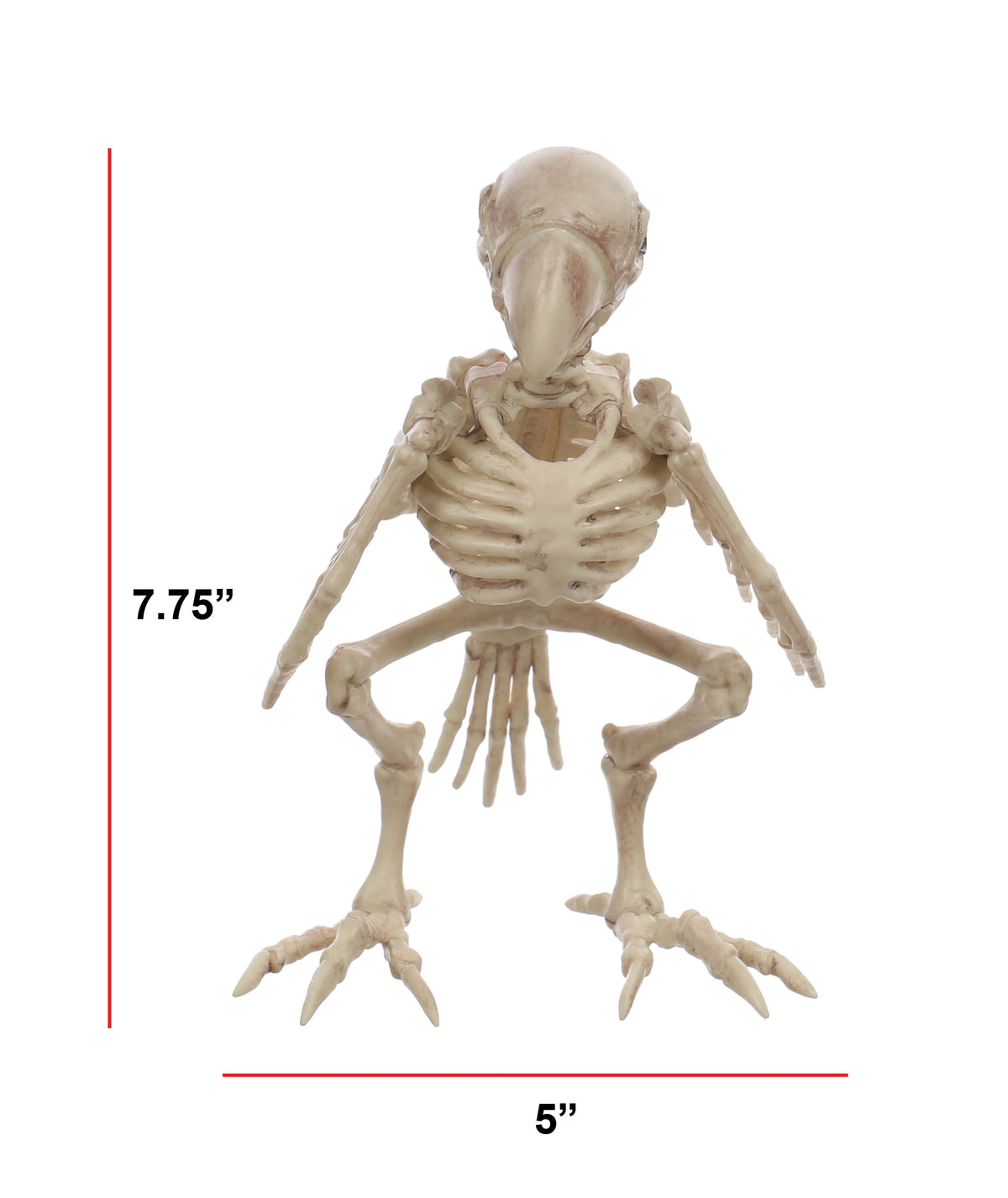 Official Crazybonez Faux Parrot Skeleton