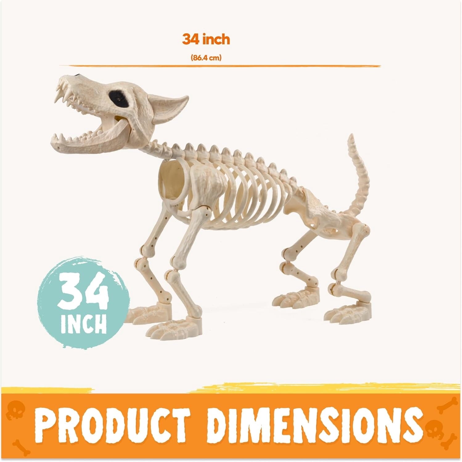 Joyfy 9.8 Inch Halloween Skeleton Dog Skeleton Halloween Decor,Pose-N-Stay Plastic Skeleton Bones with Posable Joints for Hallowmas Decoration Outdoor Haunted House Party