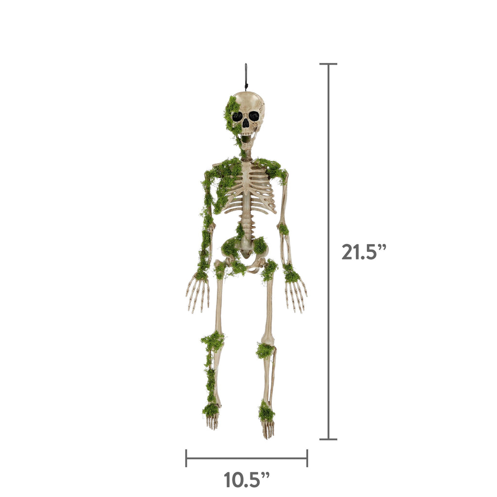 Moss Skeleton Decoration, Multicolor, 35.4", Halloween by Way To Celebrate