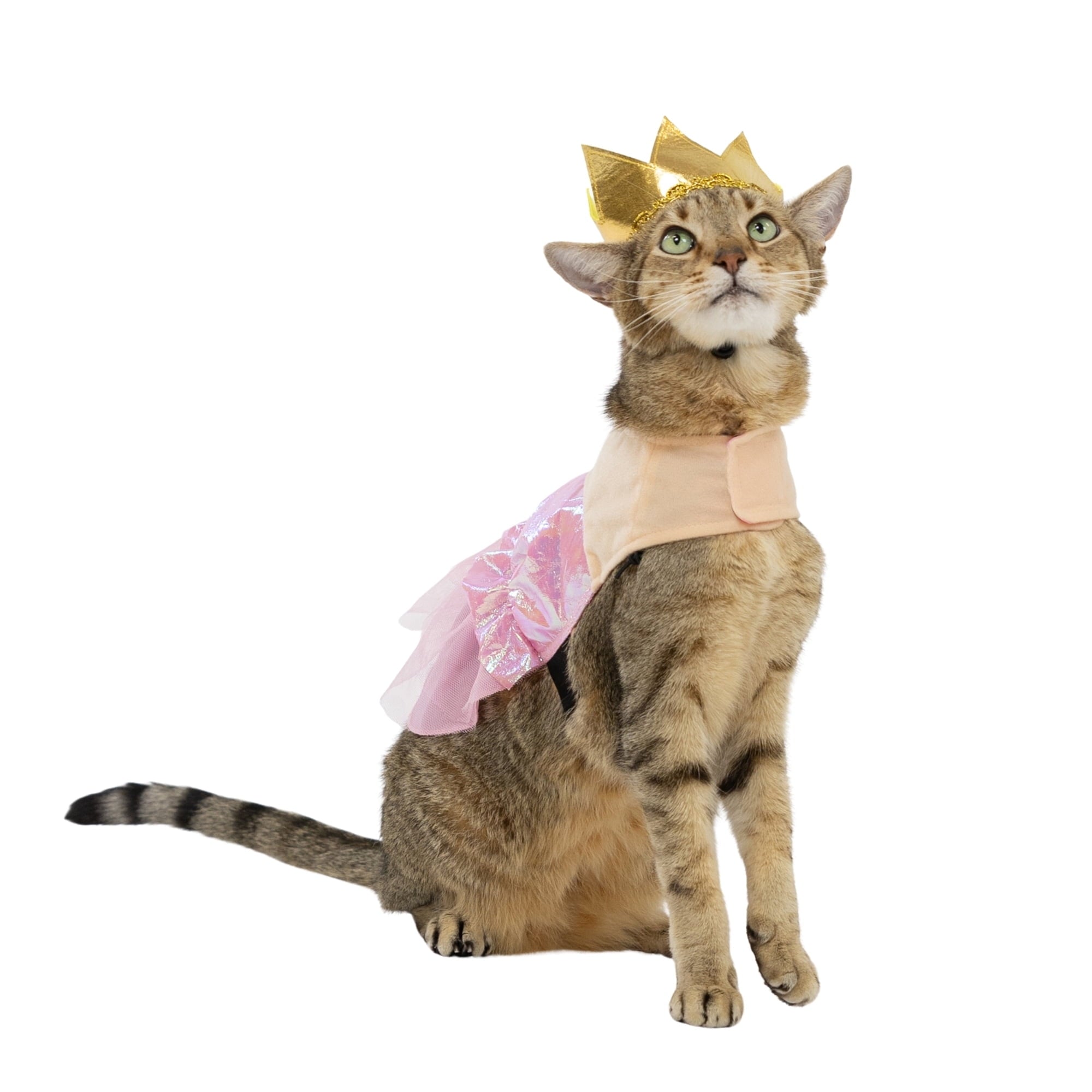 Vibrant Life Halloween Good Witch Costume for Dogs, Pink and Gold, Medium