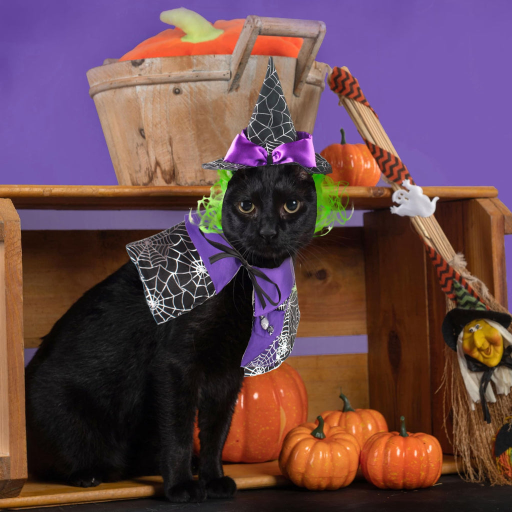 WILLED Halloween Pet Costumes, Cat Wizard Costume, Dog Witch Cloak & Hat, Purple Witch Cloak for Cats, Dogs, Kittens, Puppies, Rabbits, Perfect for Halloween, Parties, Cosplay, and Daily Wear