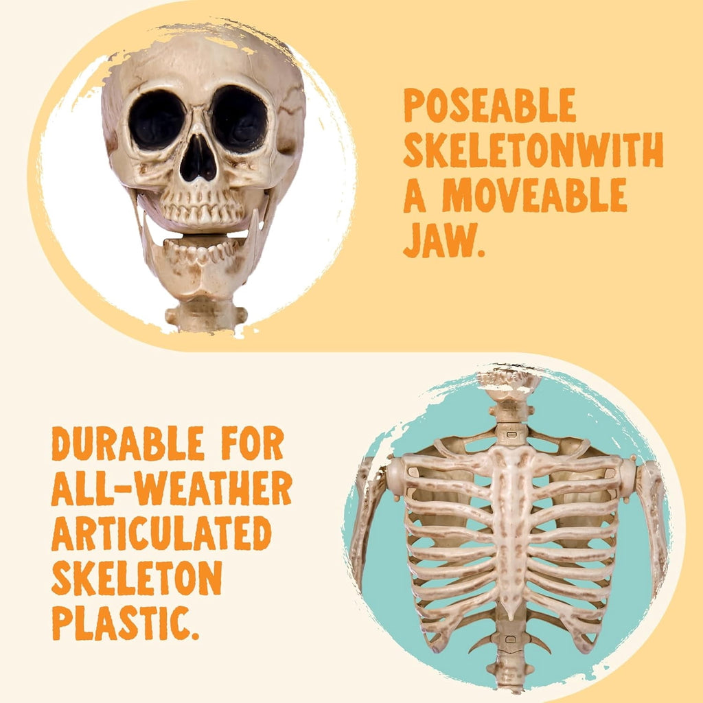 Joyfy 24 Inch Halloween Skeleton Decor with LED Light Eyes,Posable Skeleton Halloween Prop Full Body with Movable Joints for Haunted House Indoor Outdoor Decoration Spooky Decor