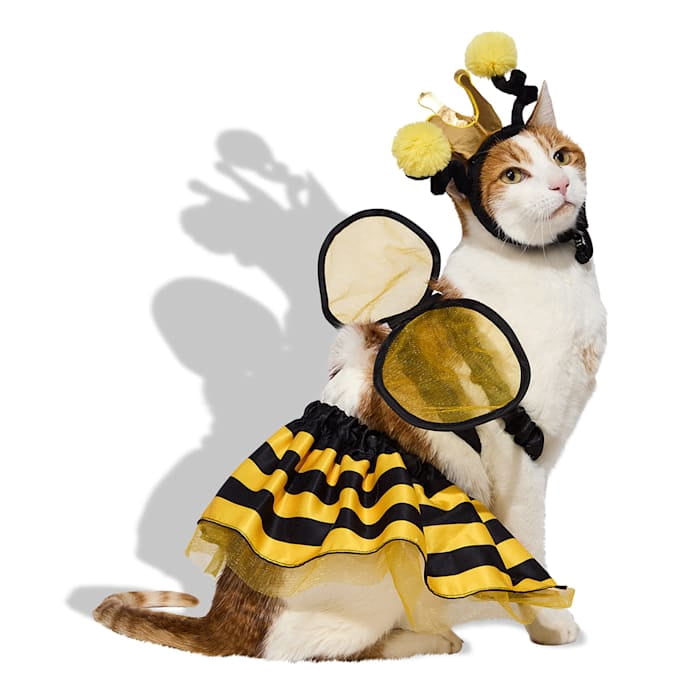 Petco Queen Bee 3-Piece Pet Halloween Costume X-Large
