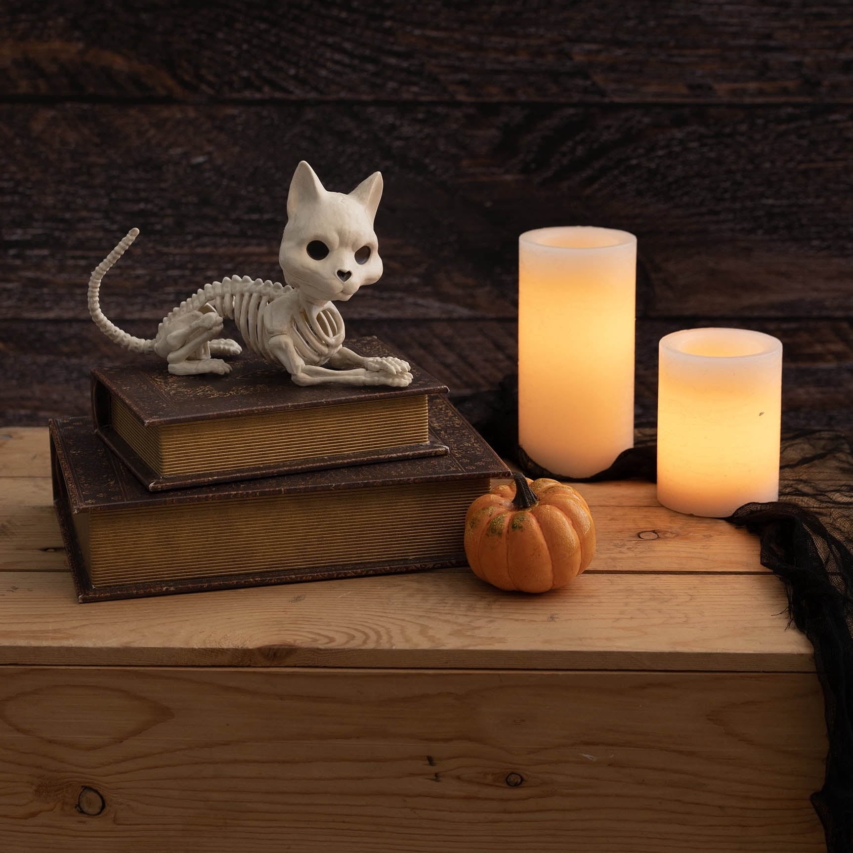 Faux Skeleton Cat Decoration, 5", Halloween by Way To Celebrate