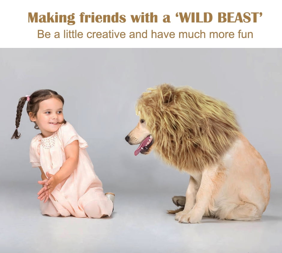Lion Mane Wig for Dogs, Funny Pet Cat Costumes, Furry Dog Clothing Accessories (Size M,Grey)