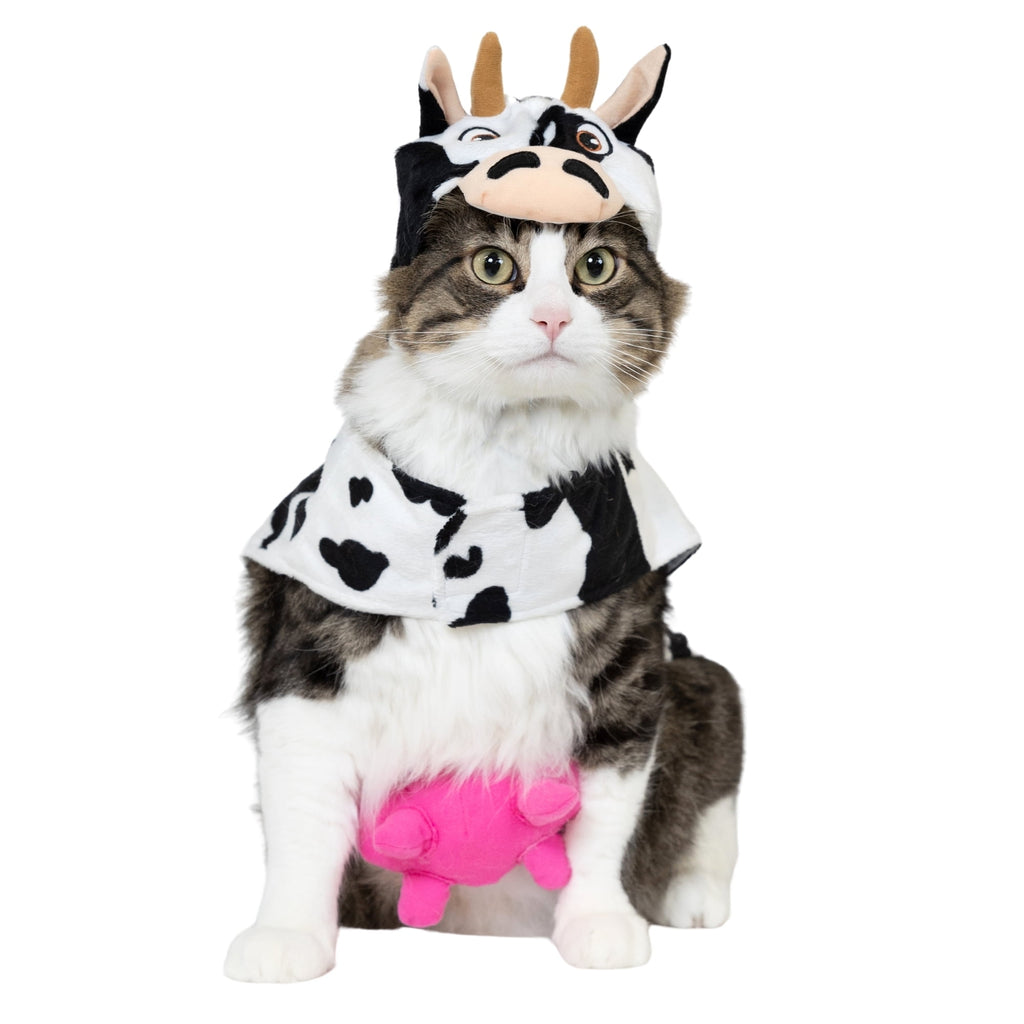 Vibrant Life Halloween Costume for Dogs & Cats, Cow, Black & White, Extra Small
