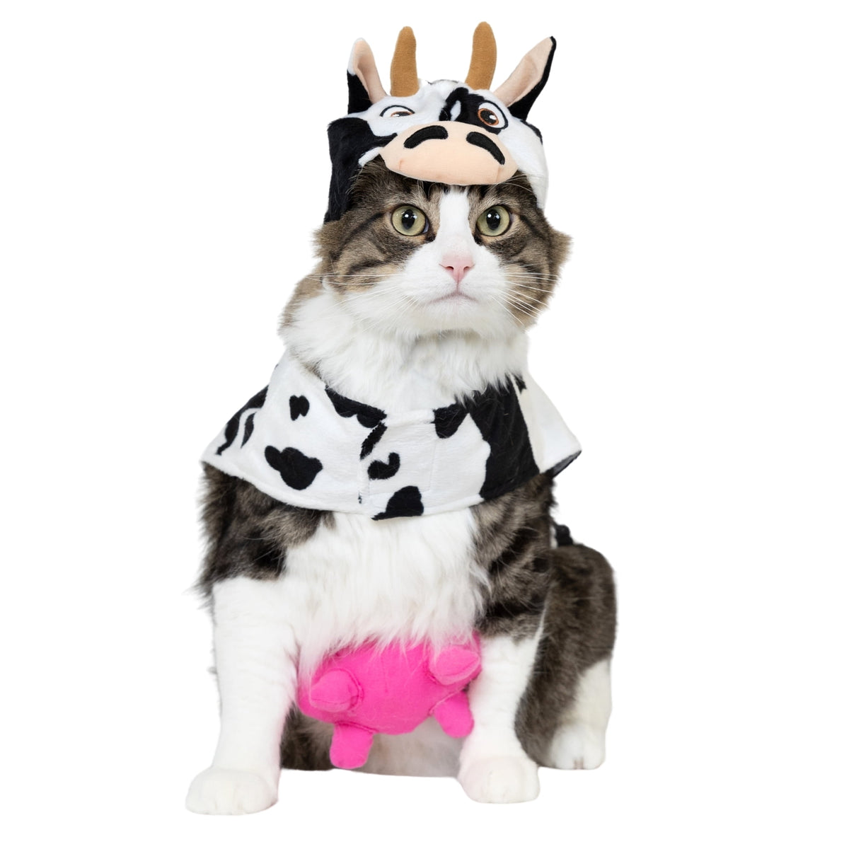 Vibrant Life Halloween Costume for Dogs & Cats, Cow, Black & White, Extra Small