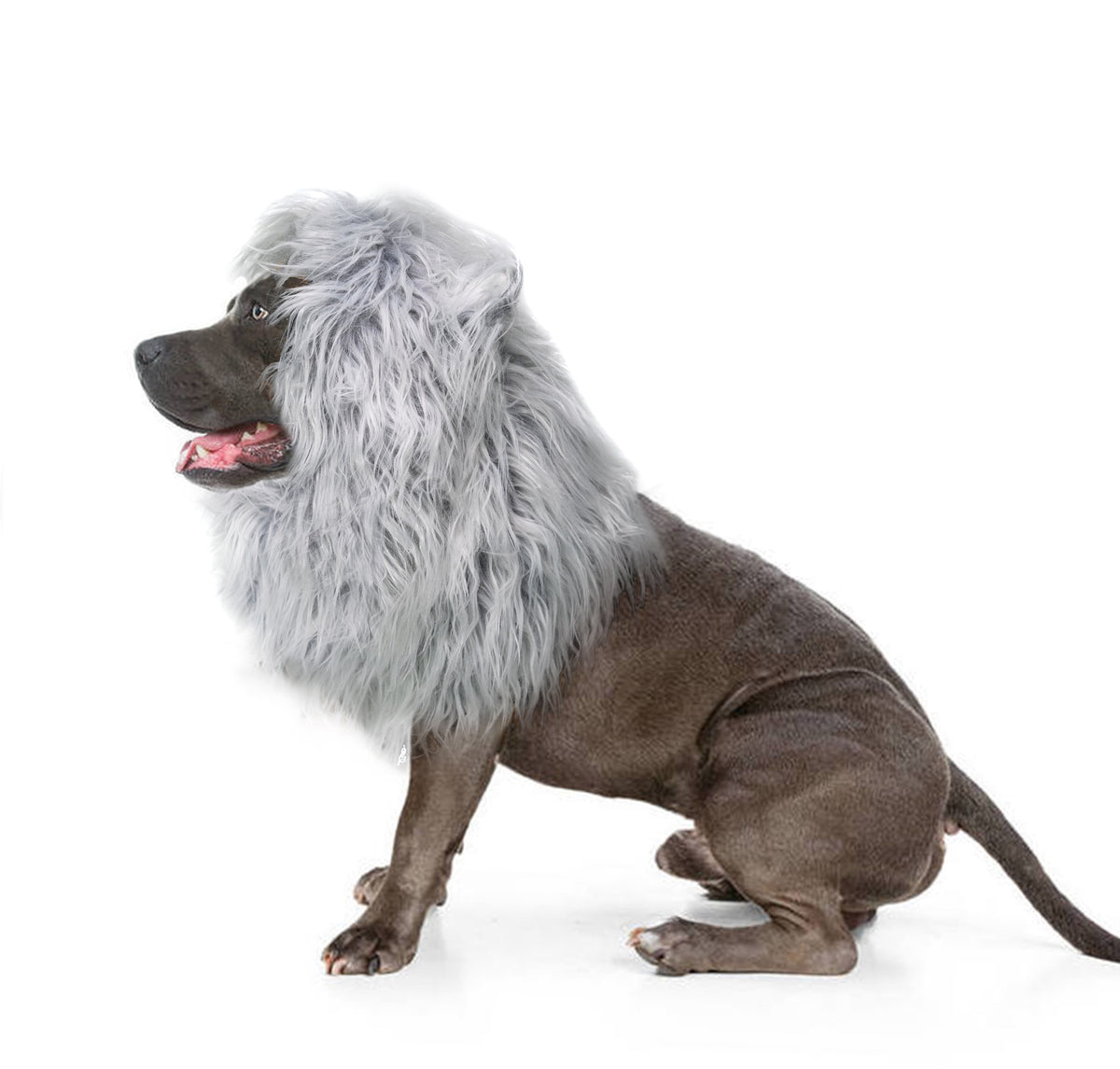 Lion Mane Wig for Dogs, Funny Pet Cat Costumes, Furry Dog Clothing Accessories (Size M,Grey)