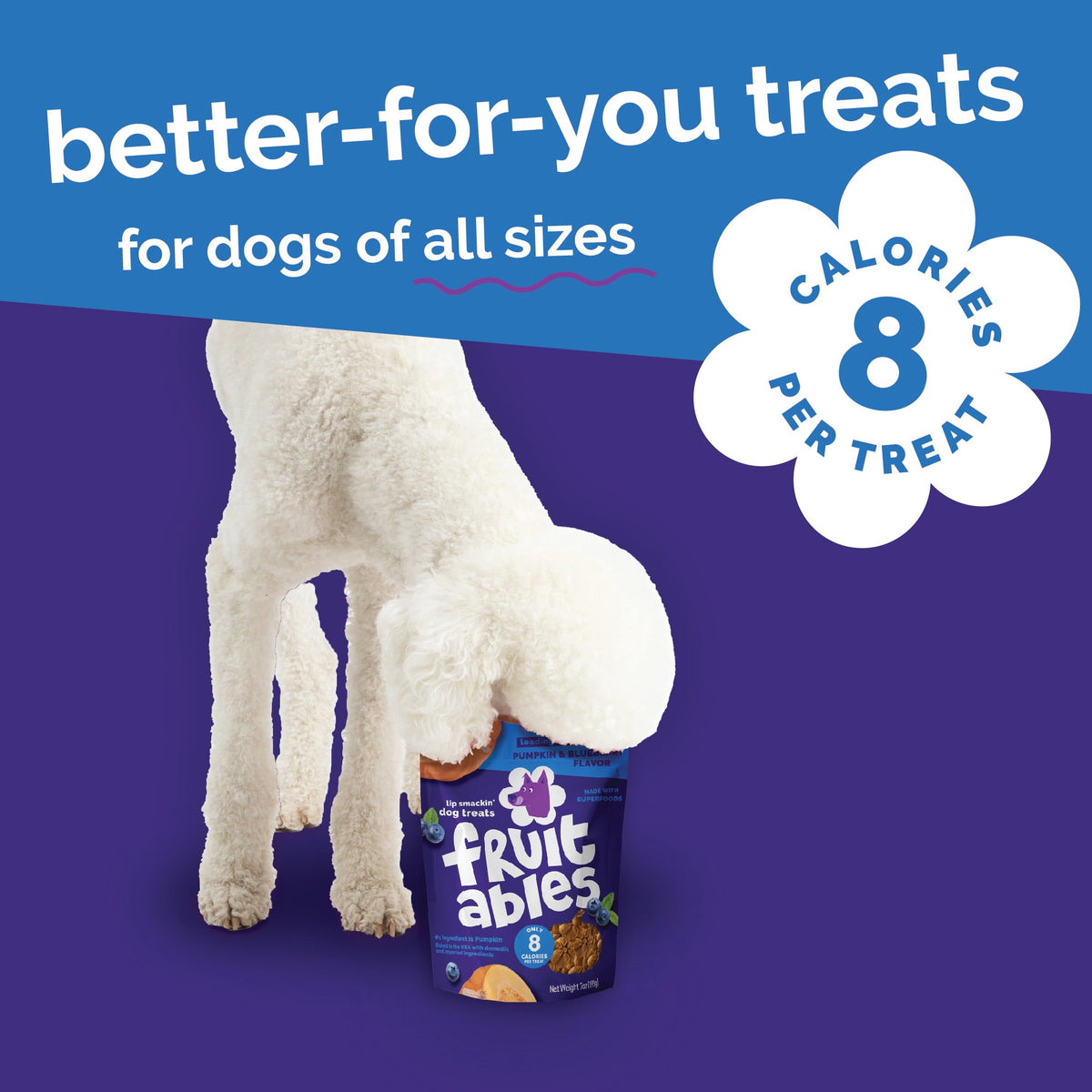 Fruitables Baked Pumpkin & Blueberry Flavor Treats for Dogs - 7 oz